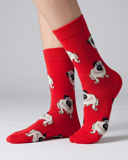 CALCETINE BULL DOG